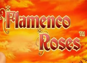 Flamenco Roses