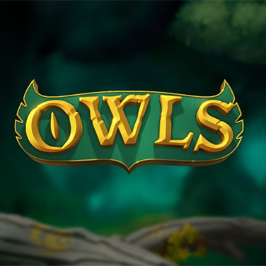 Owls